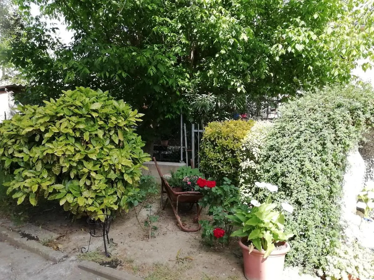 Appartamento Il canto dei galli Monte Colombo Italia
